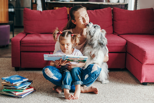 Mom reading book with baby girl toddler at home. Funny home lifestyle family with licking pet dog. Early age children education development. Family authentic candid lifestyle.