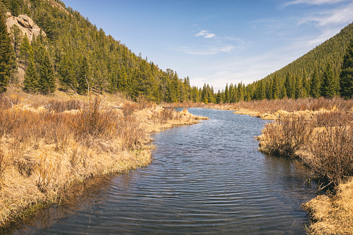 Landscape in the Lost Creek Wilderness, Colorado in Bailey, CO, United States