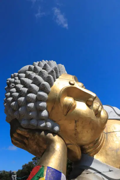 Photo of Amazing Golden Buddha in garden in thailand
