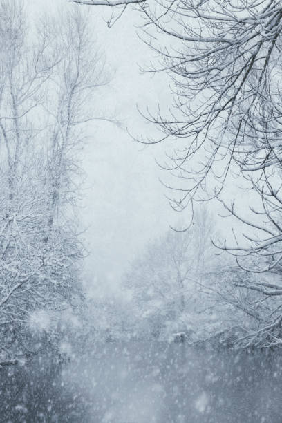 istock riverbank environments in the middle of a snowfall 1303576444