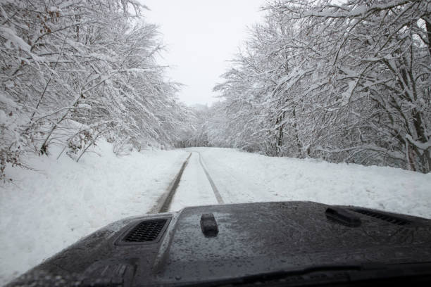 istock snowy road seen from inside an all terrain vehicle going through the s 1303576457
