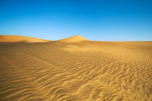 istock Landscape background of silent desert dune in Dubai, sand pattern 1303576624