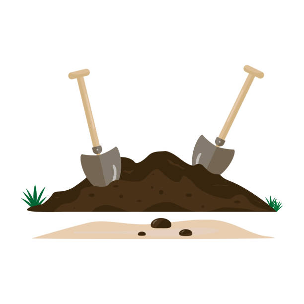 ilustrações de stock, clip art, desenhos animados e ícones de two shovels and soil. garden tools. the concept of spring, field and agricultural and construction work. earth, dirt and tools to dig a hole. vector image. flat style. - shovel trowel dirt plant