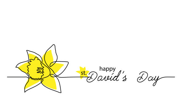 ilustraciones, imágenes clip art, dibujos animados e iconos de stock de santo día de san david fiesta simple cartel vectorial, cartel, fondo. un dibujo continuo de línea de narciso con letras del día de davids - daffodil