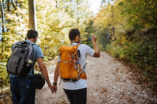 Male homosexual couple with backpackers holding hands and hiking together in forest on beautiful sunny day, one of them holding camera and photographing sceneries