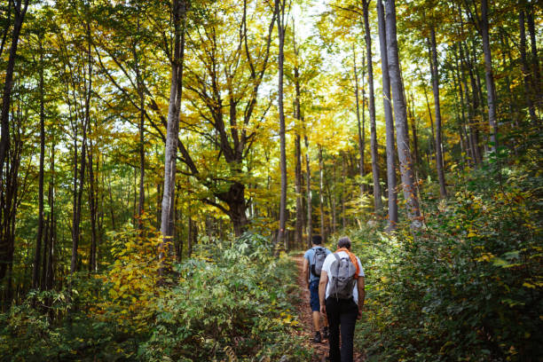 istock Following the trail 1303583843