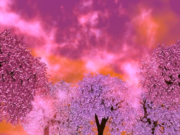 istock Fantastic landscape of Clouds and Cherry Blossoms 1303584882