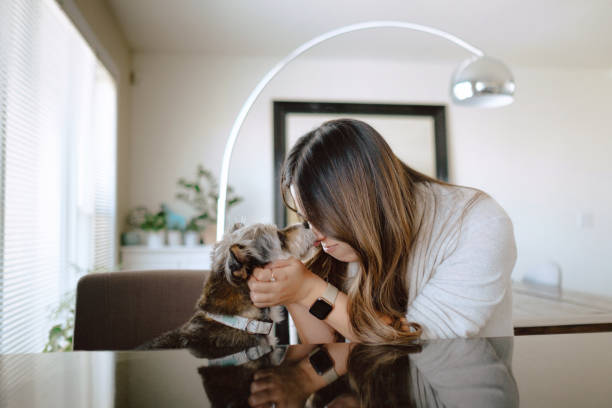 istock Dog licks woman's nose 1303587488