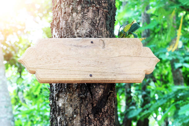 istock wooden sign blank on tree 1303590926