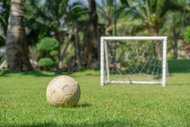 istock Soccer ball in grass field. 1303592588