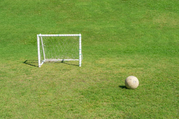 istock Soccer ball in grass field. 1303592598