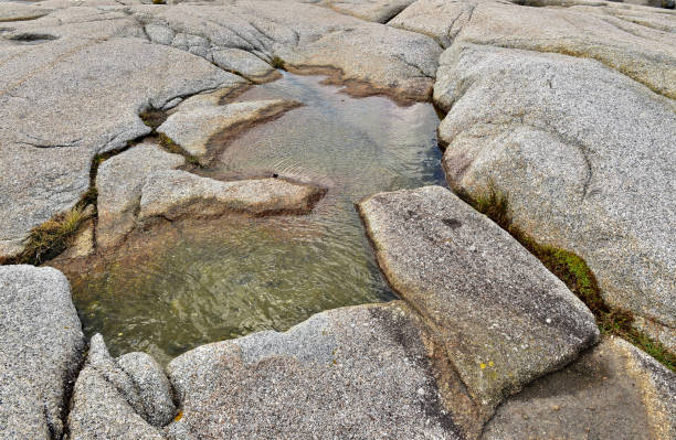 istock Rocky Nova Scotia Coastline 1303596680