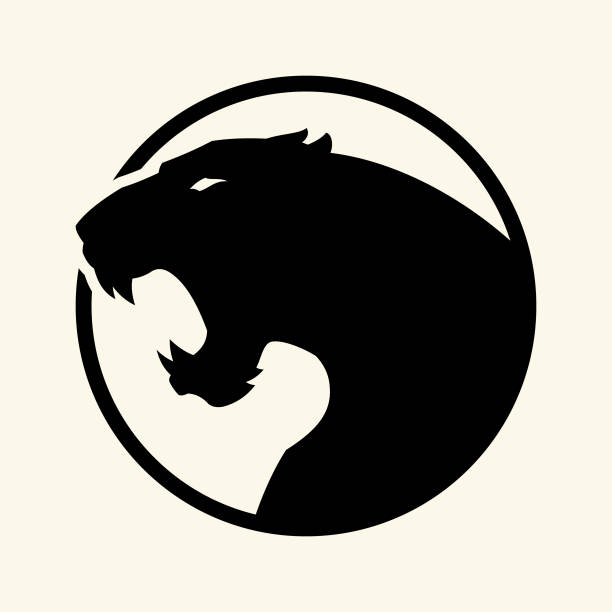 Black leopard, panther head - vector cut out silhouette in circle Angry black panther, leopard or jaguar with open mouth - cut out vector silhouette in circle mountain lion stock illustrations