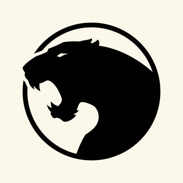 Black leopard, panther head - vector cut out silhouette in circle Angry black panther, leopard or jaguar with open mouth - cut out vector silhouette in circle abhor stock illustrations