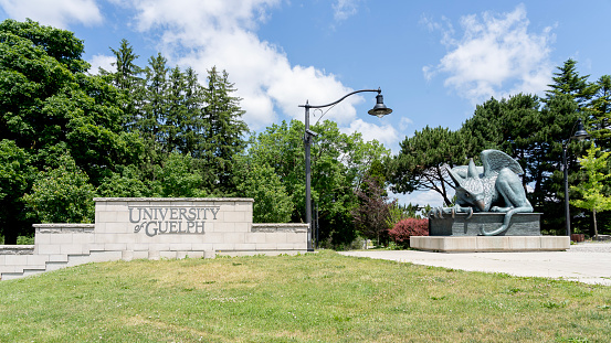Guelph, On, Canada- June 28, 2020: University of Guelph sign. The University of Guelph is a comprehensive public research university in Guelph, Ontario, Canada.