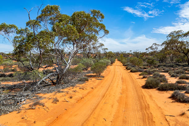 istock Rough Road Ahead: desert track, hot, dry, red sand, remote wilderness 1303597620