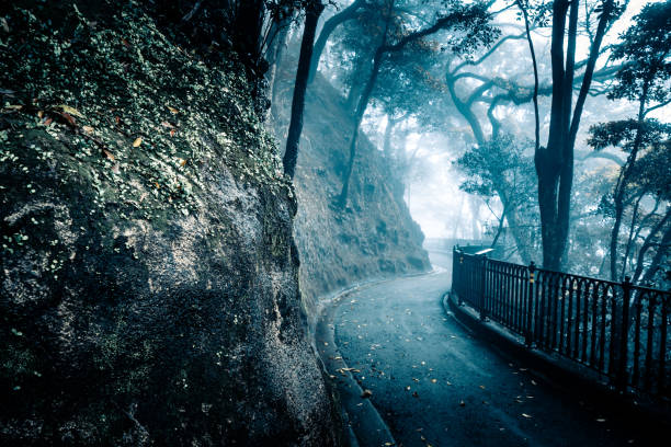 calle en la niebla en hong kong victoria pico - sacred place fotografías e imágenes de stock