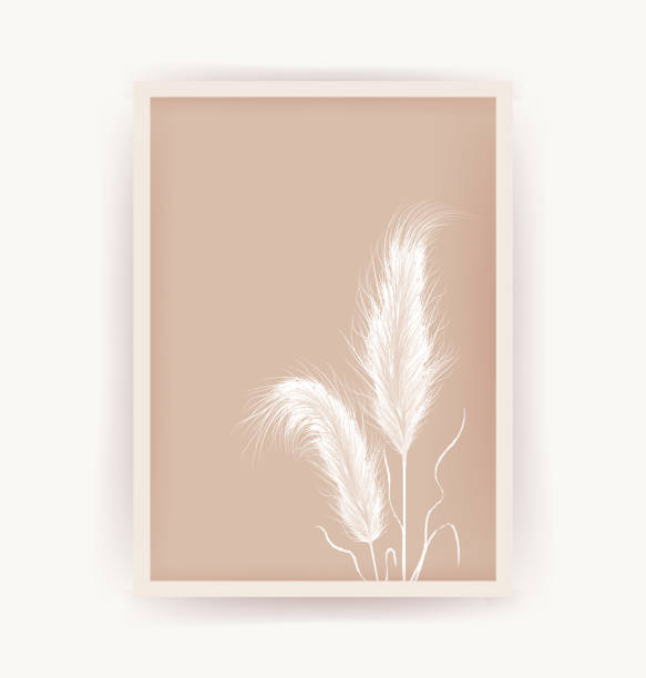 ilustrações de stock, clip art, desenhos animados e ícones de posters with natural dried pampas grass. scandinavian design for wallpaper and home decor. contemporary geometric backgrounds. modern vector illustration - tussock