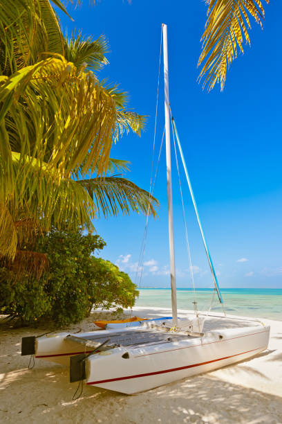istock Boat on Maldives beach 1303604617