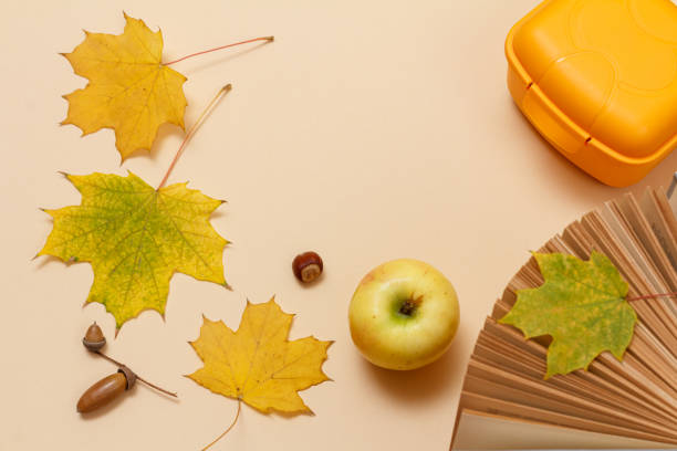 istock Ripe apple, lunchbox and dry leaves on a beige background, Top view. 1303611171