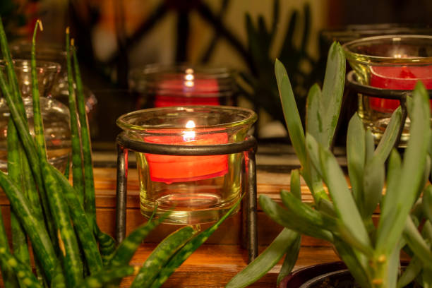 vase of beautiful leaf on table for show below the light