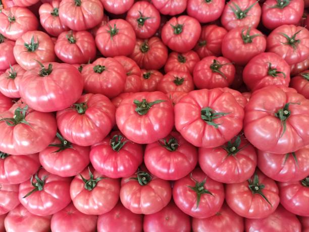 tomate rojo rosa tradicional en el mercado en el pavo de estambul - tomato beefsteak tomato heirloom tomato pink fotografías e imágenes de stock