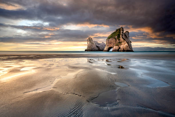 golden bay south island nuova zelanda - golden bay foto e immagini stock