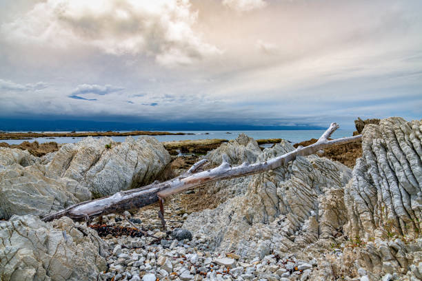 rock formations in Kaikoura New Zealand