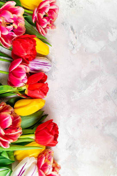 istock Festive flowers composition on light background. Holidays concept with bouquet of spring flowers. Top view 1303618395