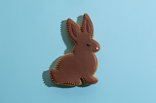 Easter bunny bakery. Festive pastry. Traditional holiday gift. Pretty rabbit gingerbread figure with chocolate icing decoration isolated on blue textured copy space.
