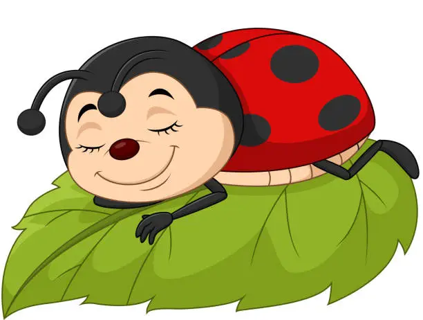 Vector illustration of Cartoon ladybug sleeping on leaf