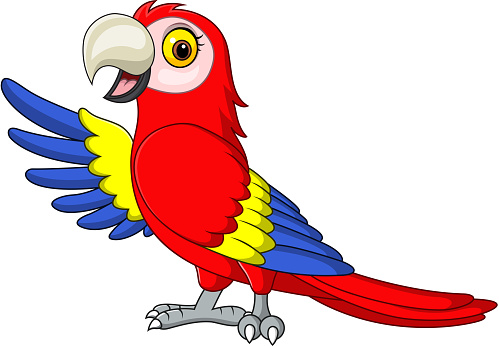 Cartoon funny macaw presenting on white background