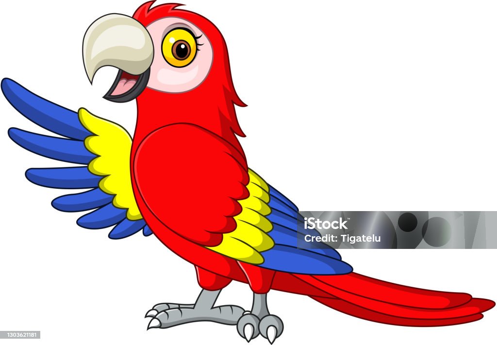 Cartoon Funny Macaw Presenting On White Background Stock Illustration -  Download Image Now - Parrot, Cartoon, Macaw - iStock