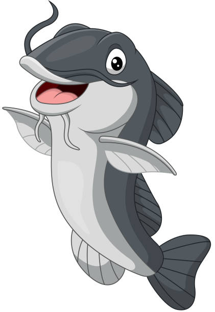 Cartoon happy catfish on white background Vector illustration of Cartoon happy catfish on white background catfish stock illustrations