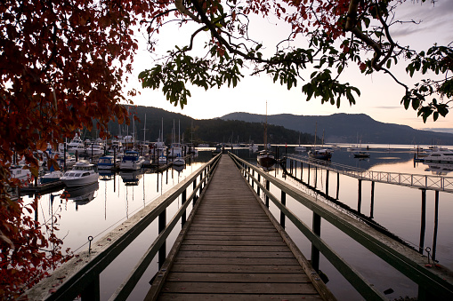 view on pier of harbour and marina at Brentwood Bay (near Victoria), British Columbia, Canada at sunset