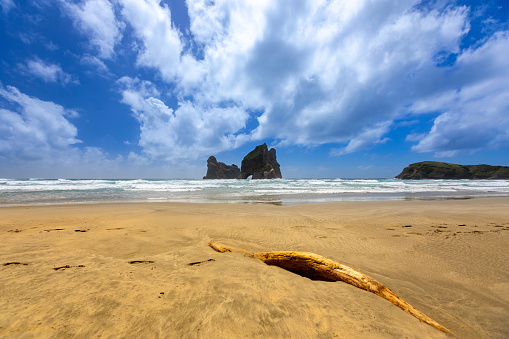 In this January 2021 daylight photo, clouds are seen over Wharariki Beach, New Zealand. This coastline on the Tasman Sea is near Cape Farewell, the northernmost point of New Zealand's South Island.