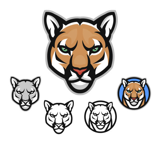 Сougar head front emblem Cougar head emblem set. Vector illustration. panthers stock illustrations