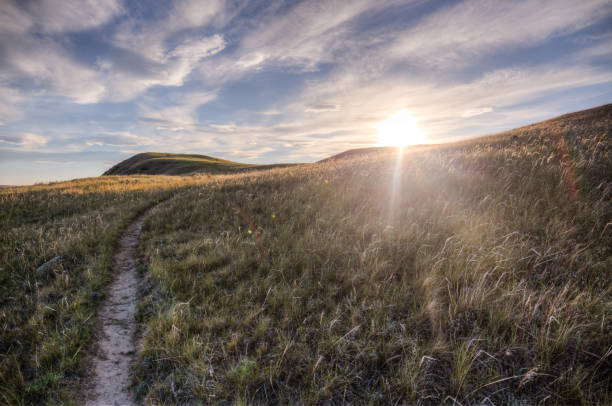 istock sunset over a grassland trail, Writing-on-Stone Provincial Park, Alberta 1303622967