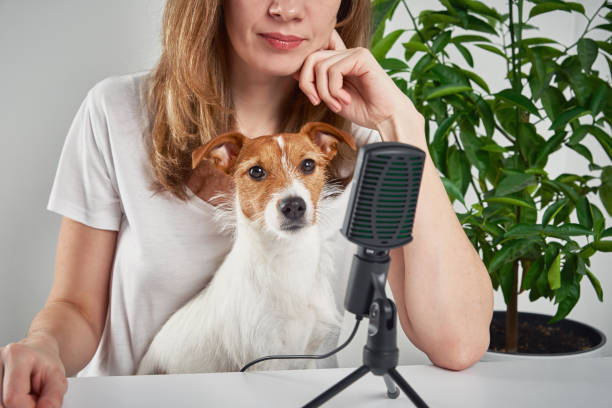 mulher gravando podcast com um cachorro. trabalho remoto em casa. cuidados com animais de estimação - dog school audio - fotografias e filmes do acervo