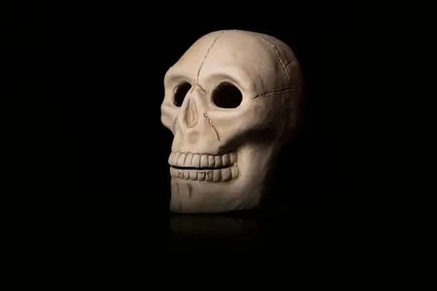 Photo of White clay skull for day of the dead offering