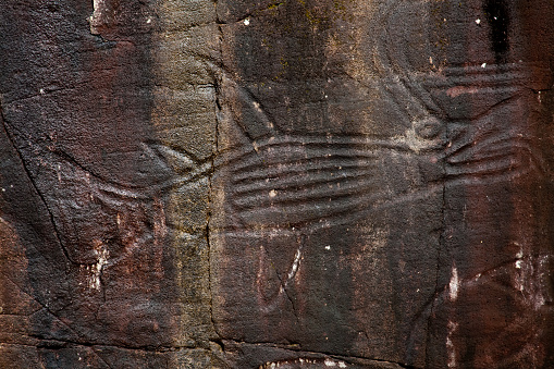 petroglyphs at Sproat Lake near Port Alberni, Vancouver Island, Brititsh Columbia