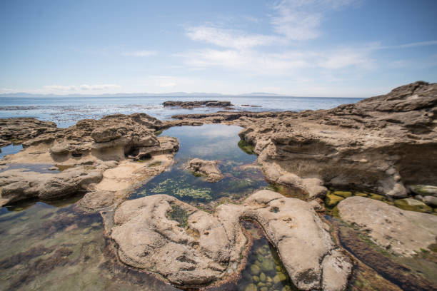 istock alien low tide sandstone landscape, Vancouver Island, BC, Canada 1303627304