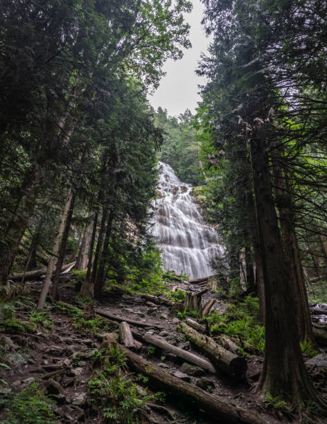 istock looking up at a forest waterfall, Bridal Veil Falls Provincial Park, British Columbia, Canada 1303629082