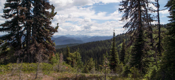 istock looking across at distant mountains, Manning Park, British Columbia, Canada 1303630973