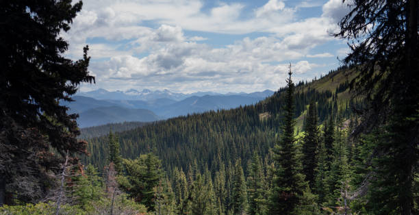 istock looking across at distant mountains, Manning Park, British Columbia, Canada 1303632273