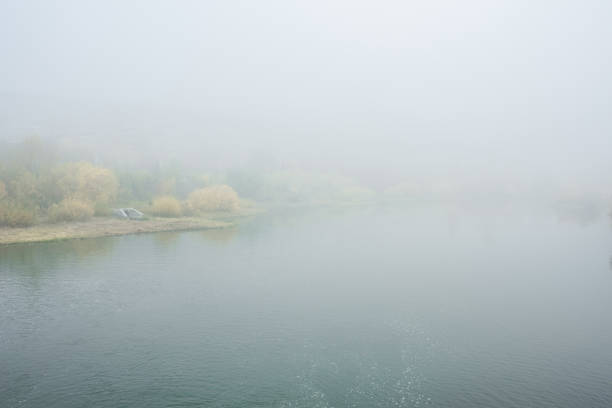 Beautiful view of large lake or river with ripples on glittering surface surrounded by group of trees with yellow foliage growing on bank