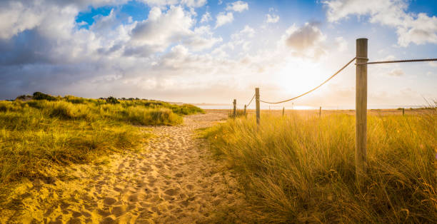 Sandy path through summer dunes to idyllic ocean beach sunrise Sandy trail through golden dunes to the beach and shining ocean beyond illuminated by the warm light of a summer sunrise. jurassic coast world heritage site stock pictures, royalty-free photos & images