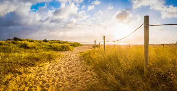 Sandy trail through golden dunes to the beach and shining ocean beyond illuminated by the warm light of a summer sunrise.