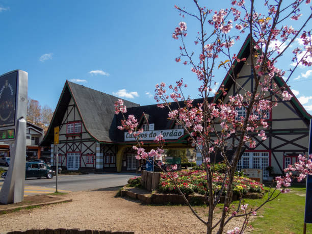 gateway to the city of campos do jordão with cherry blossom tree. - 3615 imagens e fotografias de stock