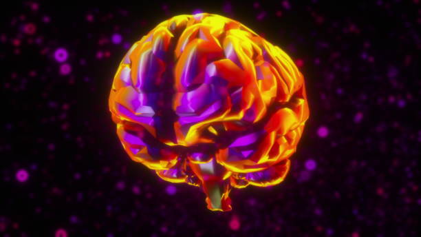 istock Computer generated model of artificial intelligence. 3d rendering of the iridescent brain against the backdrop of neon blurred particles 1303639128